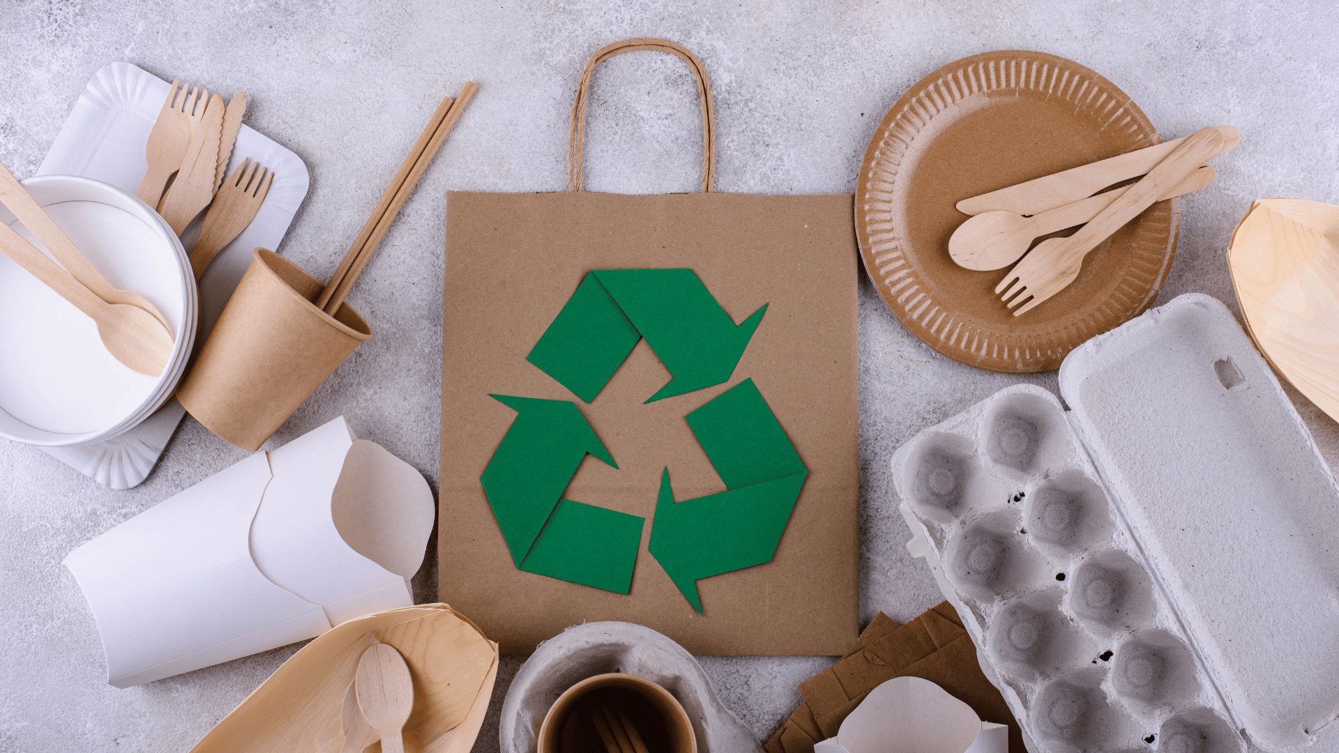 Read more about the article Ecology Battle: 10 Ways to Become an Eco-Friendly Company