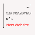 SEO Promotion of a New Website: Examples, Tricks, Features