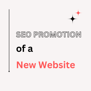 SEO Promotion of a New Website